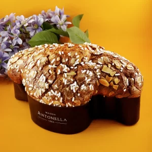 Colomba Astra